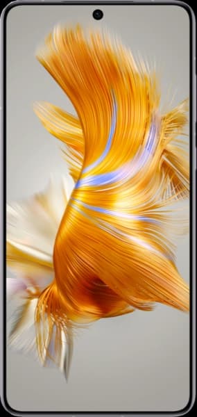 Huawei Mate 50E