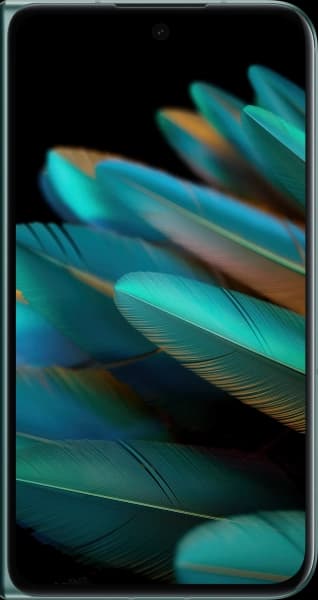 Oppo Find N2